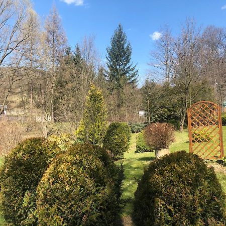 Apartament Halina Daire Lądek-Zdrój Dış mekan fotoğraf