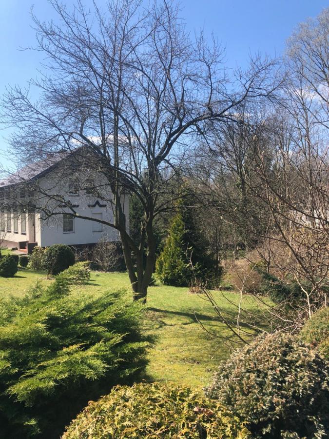 Apartament Halina Daire Lądek-Zdrój Dış mekan fotoğraf