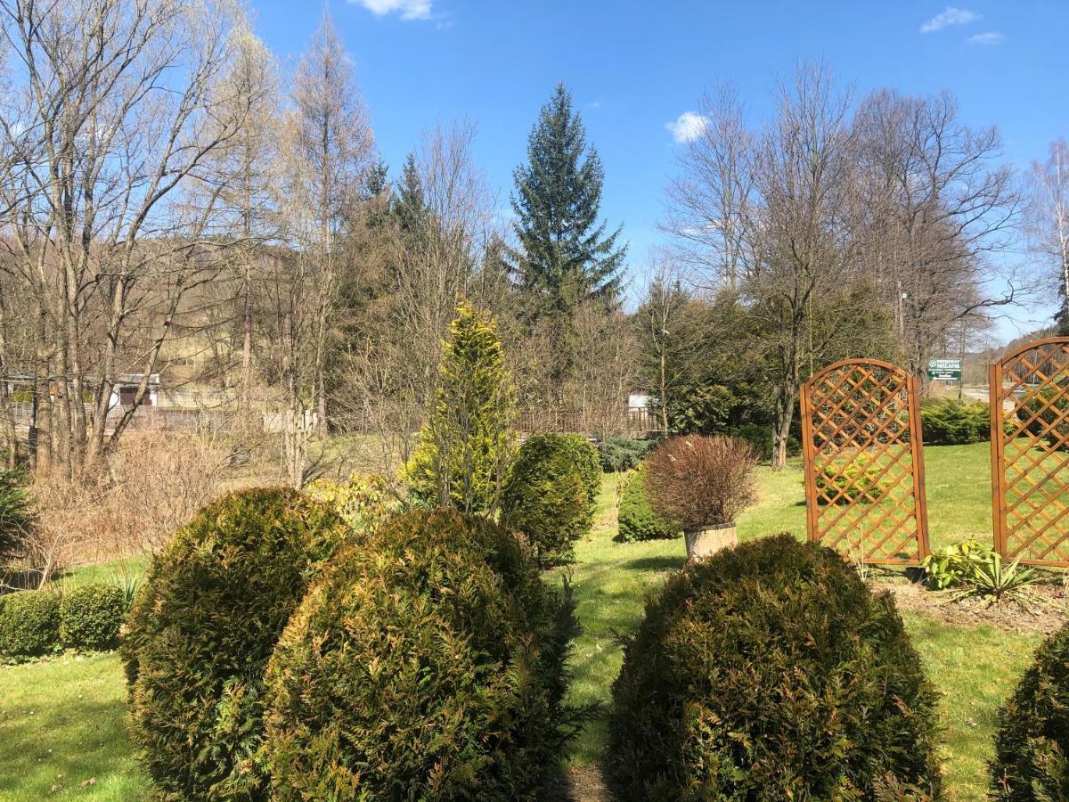 Apartament Halina Daire Lądek-Zdrój Dış mekan fotoğraf