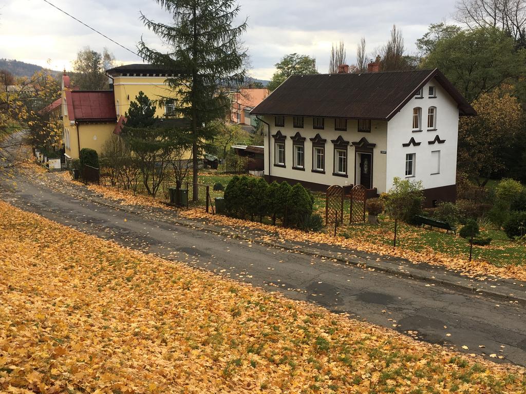 Apartament Halina Daire Lądek-Zdrój Dış mekan fotoğraf