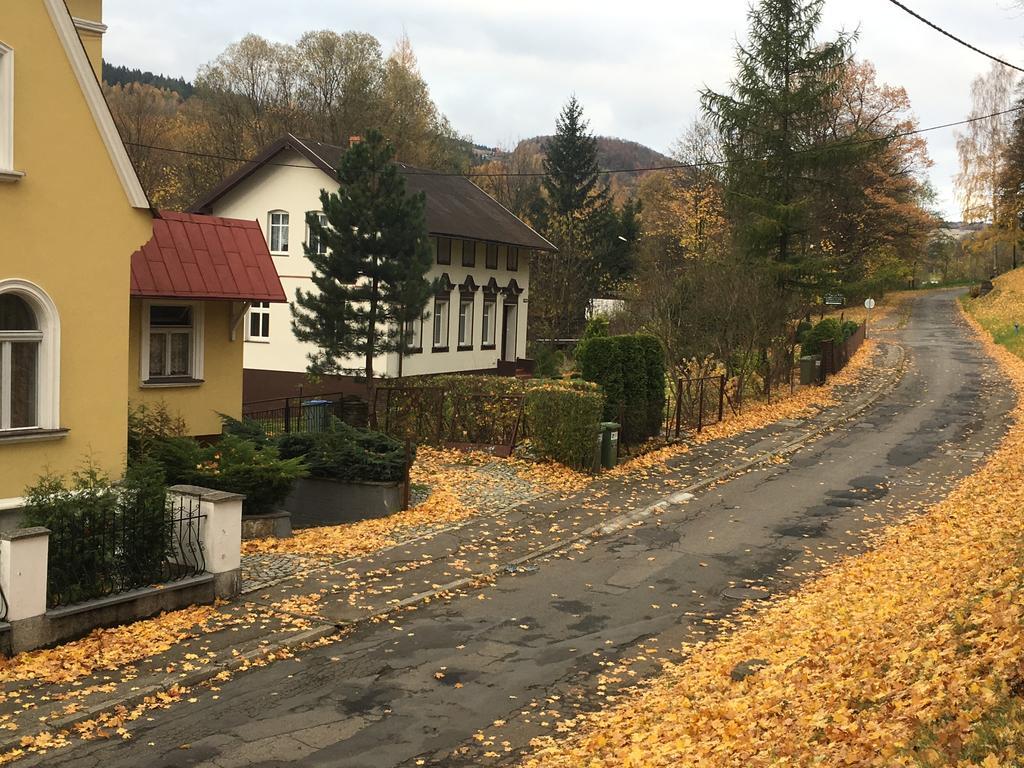 Apartament Halina Daire Lądek-Zdrój Dış mekan fotoğraf
