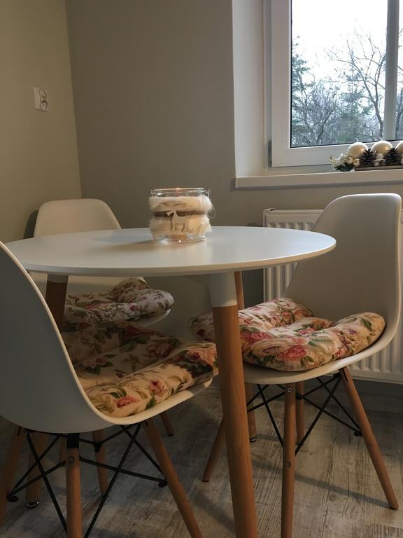 Apartament Halina Daire Lądek-Zdrój Dış mekan fotoğraf