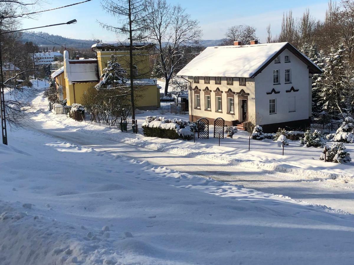 Apartament Halina Daire Lądek-Zdrój Dış mekan fotoğraf